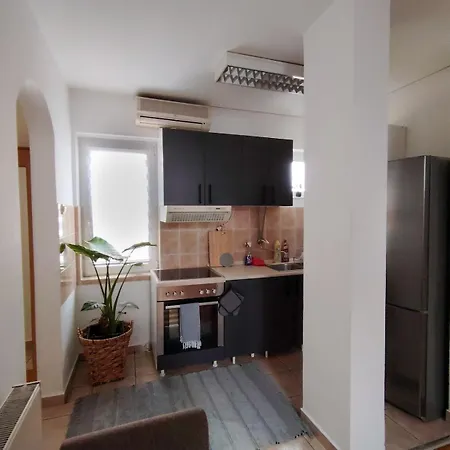 Matica Srpska Sa Garazom Appartamento