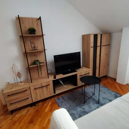 Matica Srpska Sa Garazom Appartamento Novi Sad