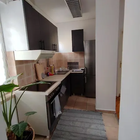 Appartamento Matica Srpska Sa Garazom