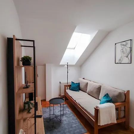 Matica Srpska Sa Garazom Appartamento *